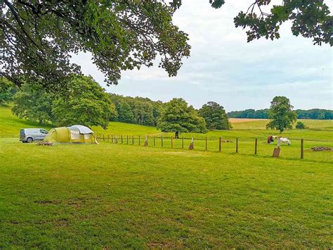 Bolam lake camping paddock  Dog-friendly wild camping site opposite Bolam Lake Country Park; A 25-minute drive from